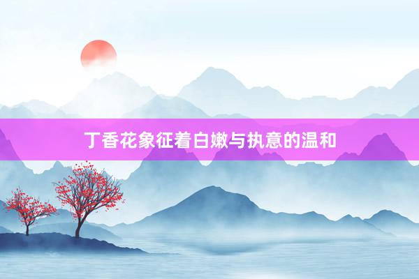 丁香花象征着白嫩与执意的温和