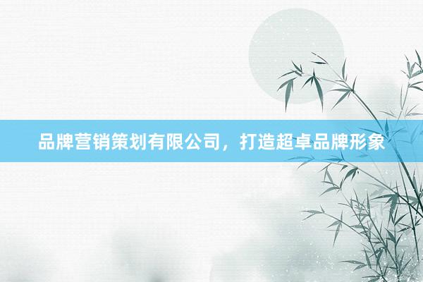 品牌营销策划有限公司，打造超卓品牌形象