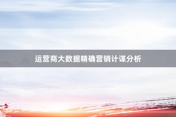 运营商大数据精确营销计谋分析